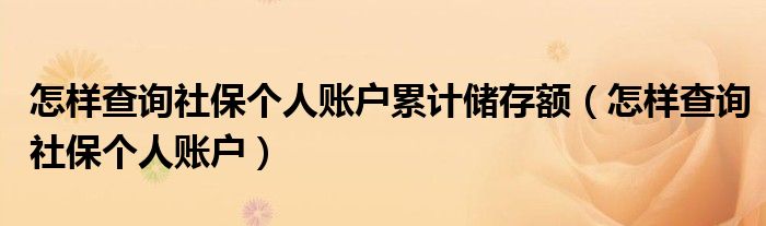 怎样查询社保个人账户累计储存额(怎样查询社保个人账户)