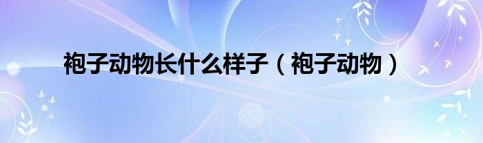 袍子动物长什么样子(袍子动物)