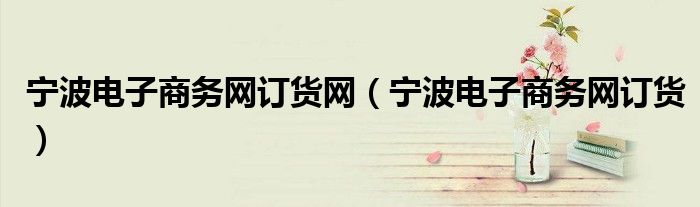 宁波电子商务网订货网(宁波电子商务网订货)