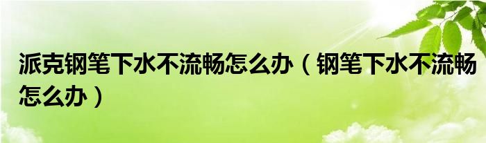 派克钢笔下水不流畅怎么办(钢笔下水不流畅怎么办)