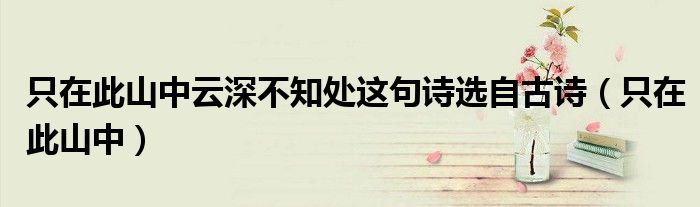 只在此山中云深不知处这句诗选自古诗(只在此山中)