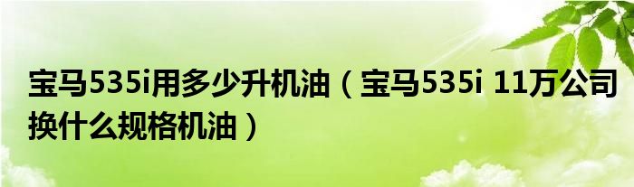 宝马535i用多少升机油(宝马535i 11万公司换什么规格机油)
