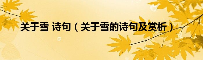 关于雪 诗句(关于雪的诗句及赏析)