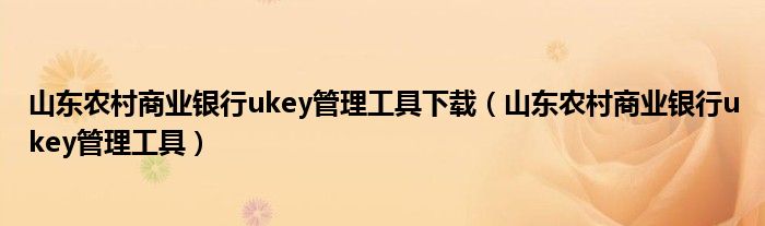 山东农村商业银行ukey管理工具下载(山东农村商业银行ukey管理工具)