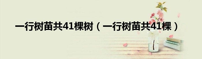 一行树苗共41棵树(一行树苗共41棵)