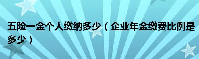 五险一金个人缴纳多少(企业年金缴费比例是多少)
