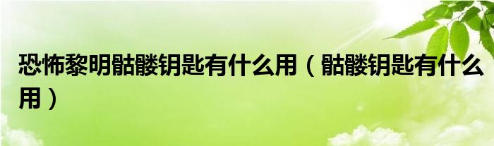 恐怖黎明骷髅钥匙有什么用（骷髅钥匙有什么用）