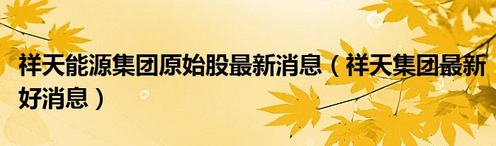 祥天能源集团原始股最新消息(祥天集团最新好消息)