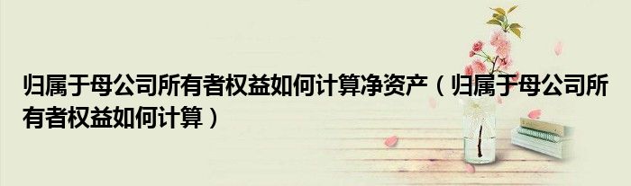 归属于母公司所有者权益如何计算净资产（归属于母公司所有者权益如何计算）