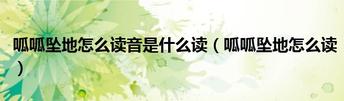 呱呱坠地怎么读音是什么读(呱呱坠地怎么读)