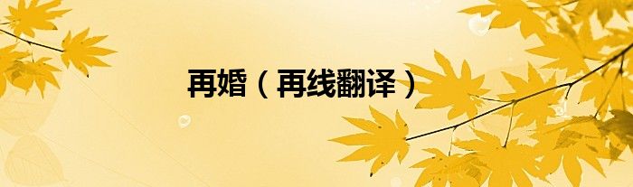 再婚（再线翻译）