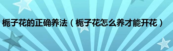 栀子花的正确养法（栀子花怎么养才能开花）
