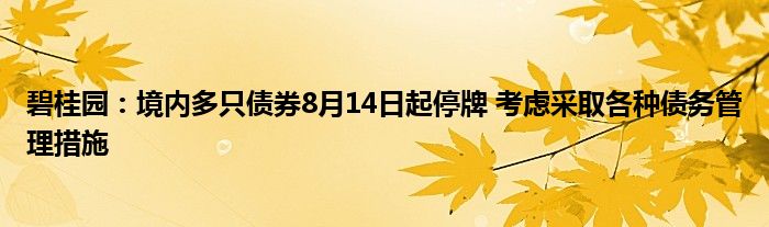 碧桂园：境内多只债券8月14日起停牌 考虑采取各种债务管理措施