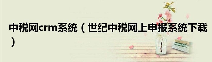 中税网crm系统(世纪中税网上申报系统下载)