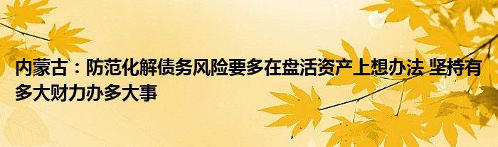 内蒙古：防范化解债务风险要多在盘活资产上想办法 坚持有多大财力办多大事