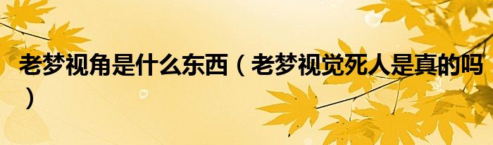 老梦视角是什么东西(老梦视觉死人是真的吗)