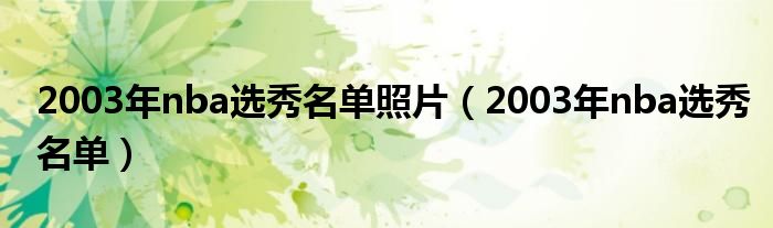 2003年nba选秀名单照片(2003年nba选秀名单)