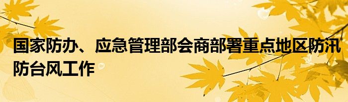 国家防办、应急管理部会商部署重点地区防汛防台风工作