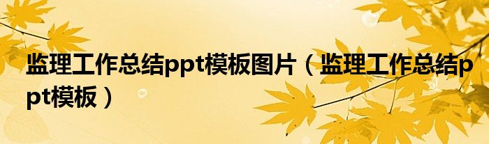 监理工作总结ppt模板图片(监理工作总结ppt模板)