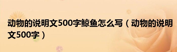 动物的说明文500字鲸鱼怎么写(动物的说明文500字)