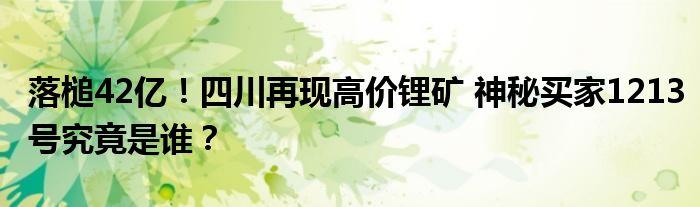 落槌42亿！四川再现高价锂矿 神秘买家1213号究竟是谁？