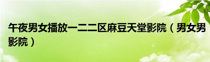 午夜男女播放一二二区麻豆天堂影院(男女男影院)