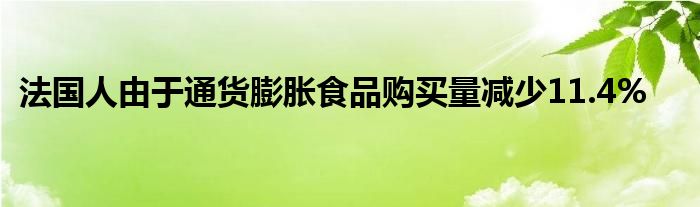 法国人由于通货膨胀食品购买量减少11.4%