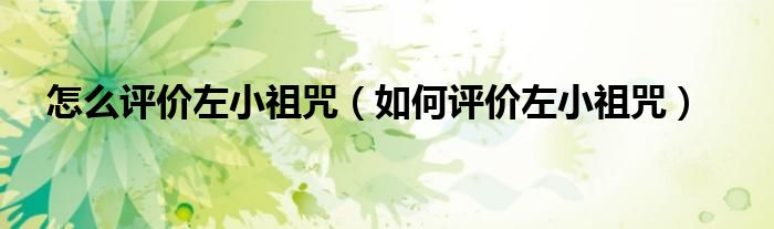 怎么评价左小祖咒(如何评价左小祖咒)