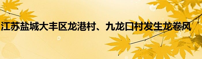 江苏盐城大丰区龙港村、九龙口村发生龙卷风