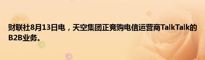 财联社8月13日电，天空集团正竞购电信运营商TalkTalk的B2B业务。