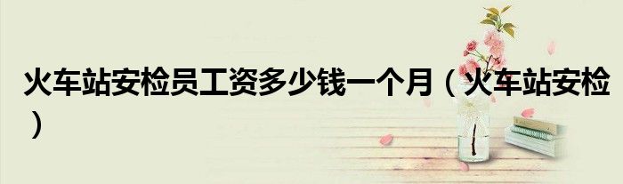 火车站安检员工资多少钱一个月(火车站安检)