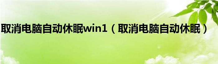 取消电脑自动休眠win1(取消电脑自动休眠)