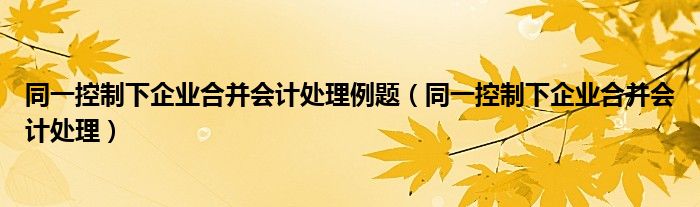 同一控制下企业合并会计处理例题(同一控制下企业合并会计处理)