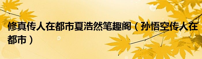 修真传人在都市夏浩然笔趣阁（孙悟空传人在都市）