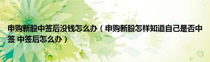 申购新股中签后没钱怎么办(申购新股怎样知道自己是否中签 中签后怎么办)