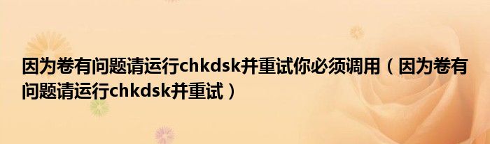 因为卷有问题请运行chkdsk并重试你必须调用(因为卷有问题请运行chkdsk并重试)