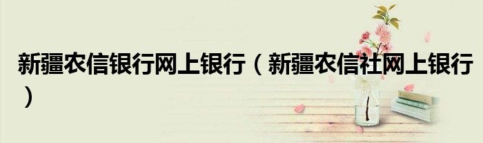 新疆农信银行网上银行(新疆农信社网上银行)