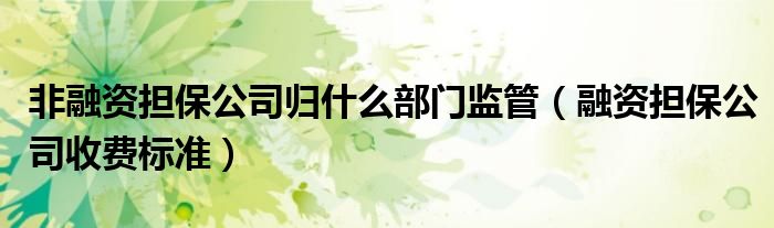 非融资担保公司归什么部门监管(融资担保公司收费标准)