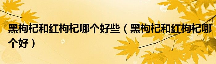 黑枸杞和红枸杞哪个好些(黑枸杞和红枸杞哪个好)