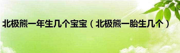 北极熊一年生几个宝宝(北极熊一胎生几个)