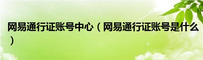 网易通行证账号中心(网易通行证账号是什么)