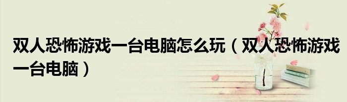 双人恐怖游戏一台电脑怎么玩(双人恐怖游戏一台电脑)