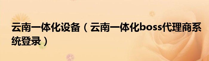 云南一体化设备（云南一体化boss代理商系统登录）