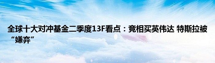 全球十大对冲基金二季度13F看点:竞相买英伟达 特斯拉被“嫌弃”