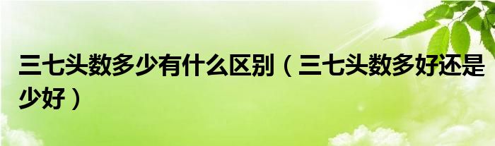 三七头数多少有什么区别(三七头数多好还是少好)