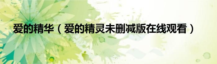 爱的精华（爱的精灵未删减版在线观看）