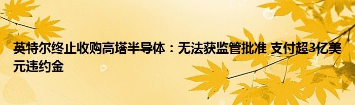英特尔终止收购高塔半导体:无法获监管批准 支付超3亿美元违约金