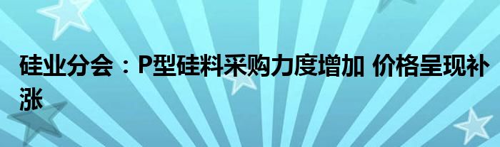 硅业分会:P型硅料采购力度增加 价格呈现补涨
