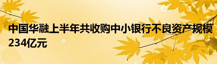 中国华融上半年共收购中小银行不良资产规模234亿元