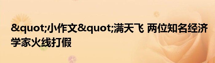 "小作文"满天飞 两位知名经济学家火线打假